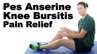 Pes Anserine Knee Bursitis Stretches & Exercises - Ask Doctor Jo