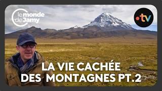 Les mystères des montagnes : Survie et adaptation en altitude - La vie cachée des montagnes