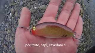 Rl minnow River 6cm 19 grammi Prova nuoto