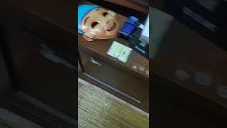 alamak! dekat kampung saya ada labubu real lah! 