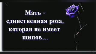 Пять самых сильных цитат про МАМУ. Берегите мам!