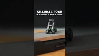 SHARPAL HOLDBUBBLE Sharpening Angle Guide #gadgets #knifesharpener #tools #guide #sharpening #fyp