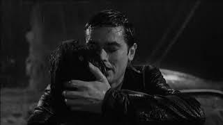 Alain Delon Tribute | "All I Really Want is You" | L'insoumis (1964)