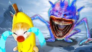 THE SONIC TAPES: Banana Cat vs. The Cursed Sonic Monster: A Frozen Fright!  Banana Cat Compilation