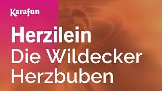 Herzilein - Die Wildecker Herzbuben | Karaoke Version | KaraFun