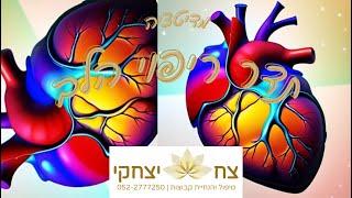 מדיטציה: תדר ריפוי הלב, ניקוי עצמי עמוק למרכז אנרגיית האהבה באמצעות תדר, צח יצחקי מטפל ומנחה קבוצות