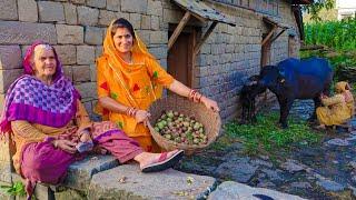 Hp-46 || हिमाचल के गाँव की संध्या  Himachal village life culture || Bhujji Food