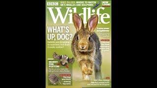 BBC Wildlife Magazine -September 2018 | Animals & Pets |  National Geographic, Dog and Cat