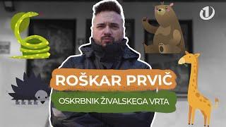 Roškar prvič OSKRBNIK ŽIVALSKEGA VRTA