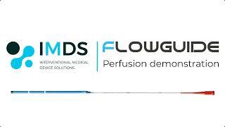 FlowGuide - Perfusion Demonstration