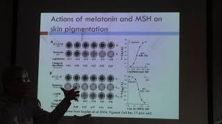 The Pineal Gland and Melatonin