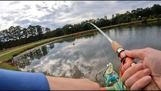 Georgia POND BASS Fishing - 1v1 Challenge