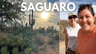 THOUSANDS OF SAGUAROS! SAGUARO NATIONAL PARK in One Day -West Section of Saguaro National Park