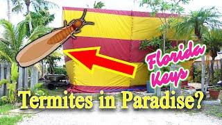 Termites are a BIG DEAL in the Florida Keys!