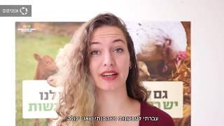 למה טבעונות?