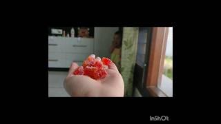 alpenliebejuzztjelly orange bear #shorts#viral#ytshorts#trending#yana'sworld