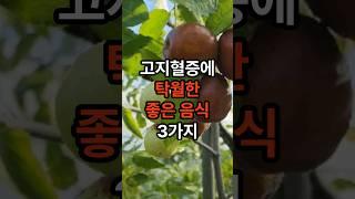 혈관을 조여오는 고지혈증을 놔두면 안됩니다.고지혈증에 좋은 음식들~ #고지혈증 #건강 #음식 #혈관 #shorts