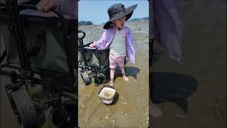 [엉딩팡팡]갯벌에서 동죽 잡고 신났어요! | Bouncing Butts & Clam Fun! #비인해수욕장 #동죽 #가족나들이