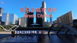 多伦多城市漫步 - DJI Pocket 3拍摄 | Toronto City Walk - Shot On Pocket 3 | 加拿大 Canada