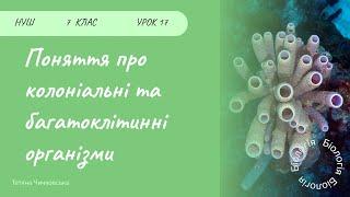 Поняття про колоніальні та багатоклітинні організми (губки, трихоплакс)