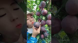 Amazing Fruits Cutting Skills