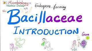 Introduction to Bacillaceae (Bacillus anthracis and Bacillus cereus) | Microbiology 