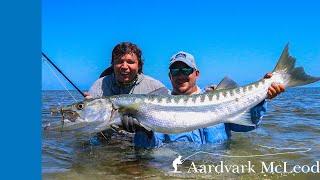 How To Catch Barracuda On The Fly