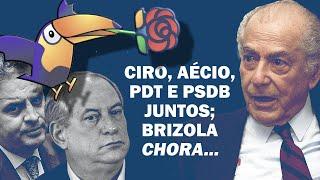 APÓS FRACASSO ELEITORAL, CIRO E AÉCIO PLANEJAM TRAIR IDEAIS FUNDADORES DE PDT E PSDB | Cortes 247