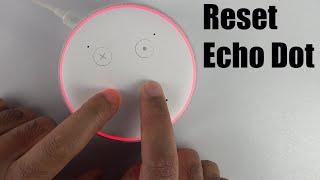 How to Reset Amazon Echo Dot