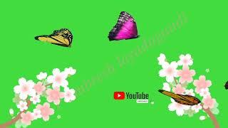 new flower green screen effect best flower ap ambresh layadaundi YouTube video
