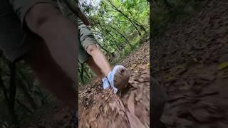 Шок цена. Кроссовки за 150 рублей #Китай #DenvasTV