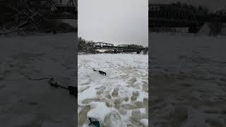 Станция Друть
