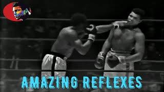 Muhammad Ali - Amazing Reflexes Full HD ElTerribleProduction