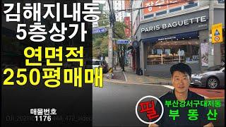 김해지내동최요지5층상가매매