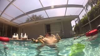 Sammy the freediving dog takes a free diving course with Immersion Freediving