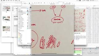 new art, flag art, good art, portal art with Ian Cheng