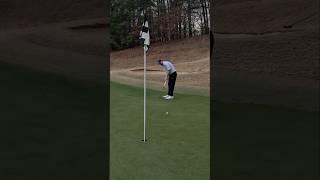 Birdie #88 of 2024 - 2 ball scramble was a blast! #birdie #labputter #golfshort #golfvideo