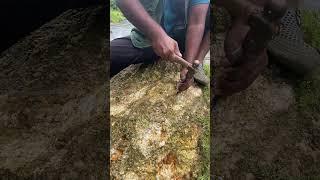 BIGGEST Gold Nuggets Found #gold #goldpanning #satisfying