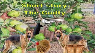 Short Story ''The Guilty"