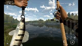 Fishing Planet Russia 2 Unique Zander and trophy Volga Zander V.2.1.4