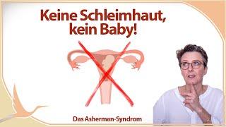 Keine Schleimhaut, kein Baby! Das Asherman-Syndrom  (Heidi Gößlinghoff)