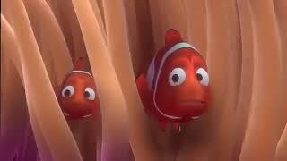 Finding Nemo - First Day Of School