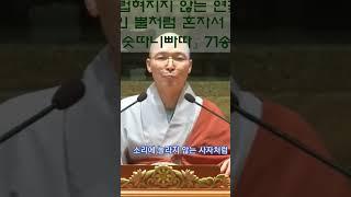 소리에 놀라지 않는 사자처럼, 무소의 뿔처럼 혼자서 가라 - 숫타니파타  #불광사 #동명스님 #서울송파불광사