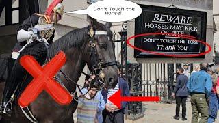 "READ THE SIGN"!  Fed Up Kings Guard Told Off Tourists"! DONT TOUCH THE HORSE