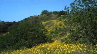 Fryman Canyon Hiking