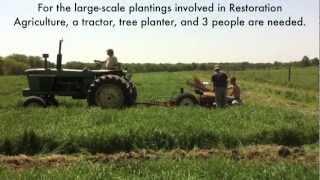 Large-Scale Tree Planting - Restoration Agriculture