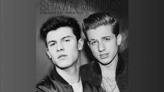 Shawn Mendes - In My Blood feat. Charlie Puth