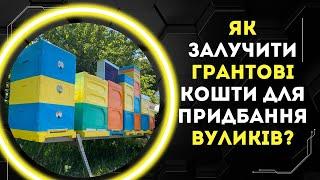 Пасічники активно залучають грантові кошти для придбання вуликів BeeStar