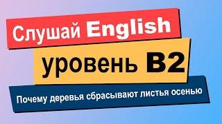 Если вы поймете этот рассказ на английском, то у вас уровень B2 Upper-Intermediate