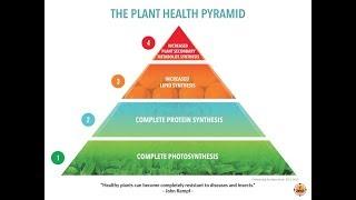 Plant Health Pyramid